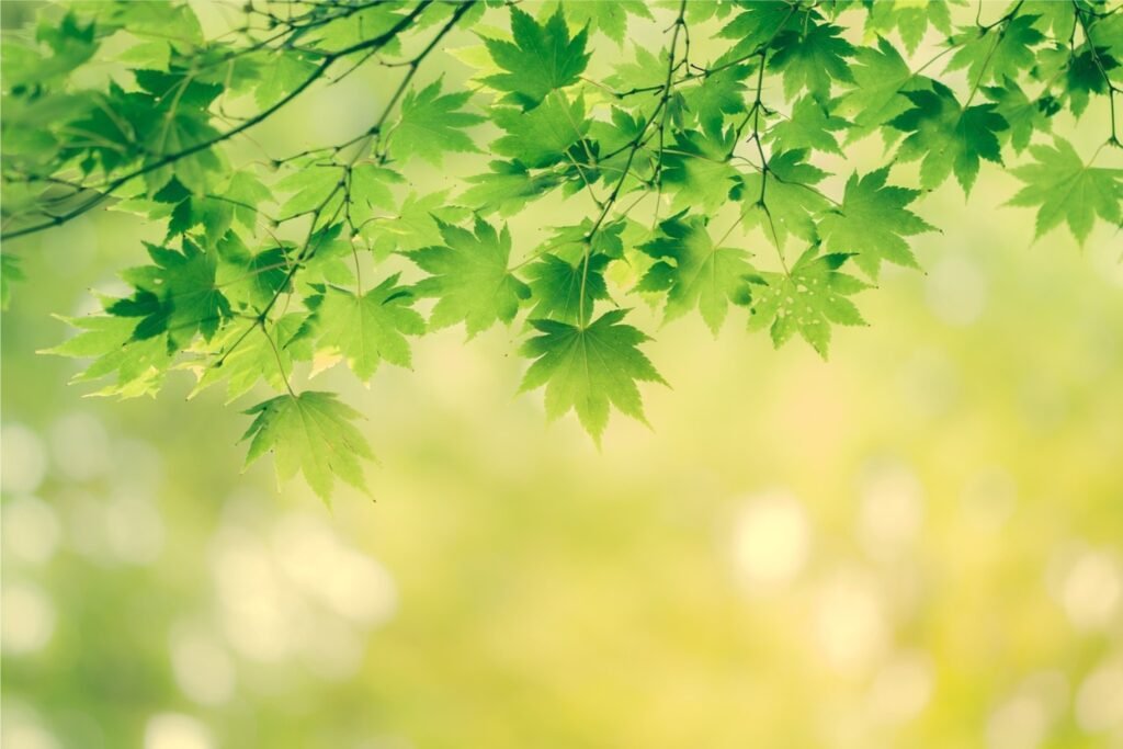 puntoverdenatural.com.co